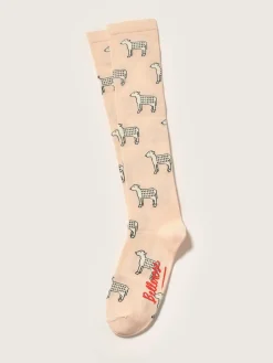 Bellerose Bagri Kniekousen Hot