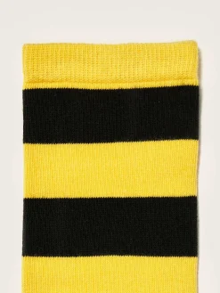 Bellerose Bichir Kniehoge Sokken Online