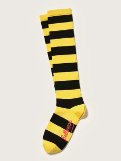 Bellerose Bichir Kniehoge Sokken Online