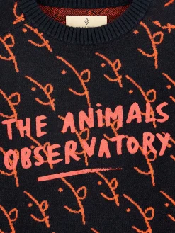 Bellerose Gorfou Ronde Hals Trui New