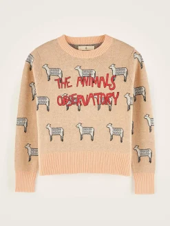 Bellerose Grebe Ronde Hals Trui Outlet