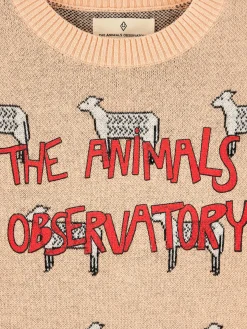 Bellerose Grebe Ronde Hals Trui Outlet