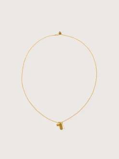 Sylvie gilbert SGICOLLIERGRIGR